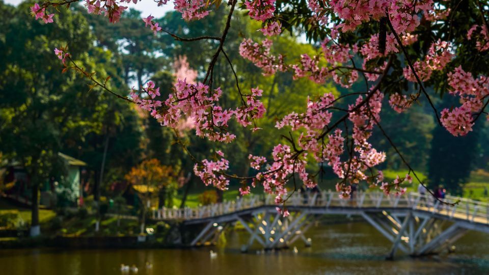 Shillong